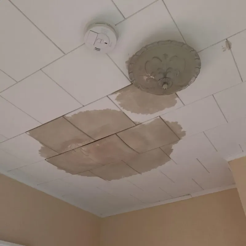 Ceiling Water Damage Repair in Gill, MA