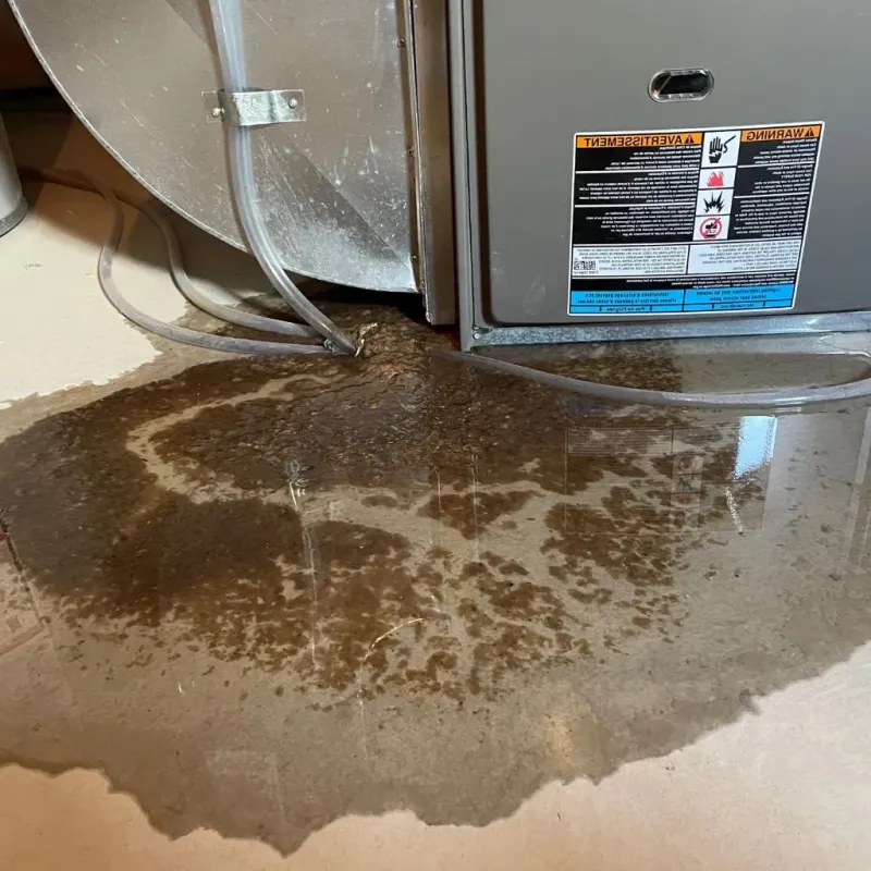 Pipe Burst and Leak Restoration in Gill, MA