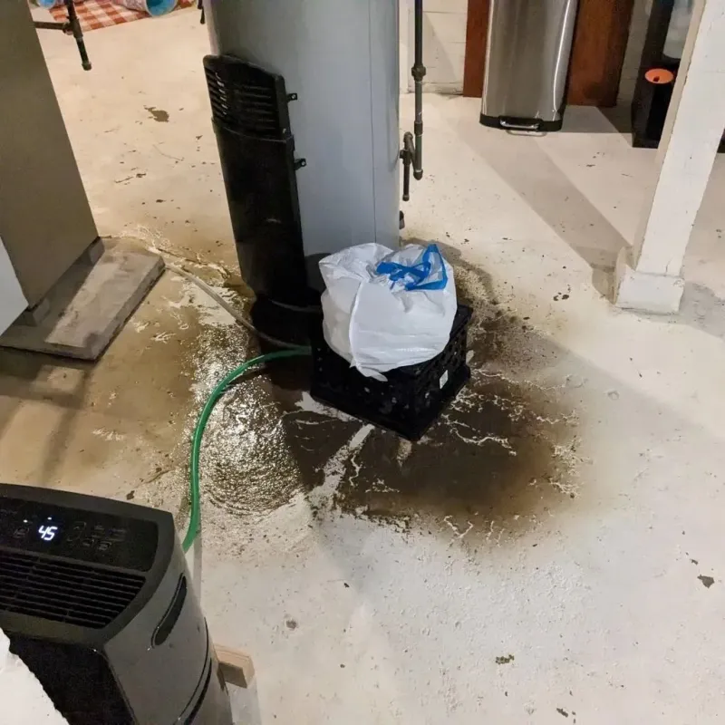 Sewage Backup Cleanup Service in Gill, MA